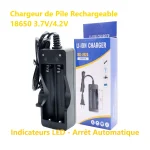 Chargeur de pile 3.7V - 4.2V 18650 MS202A