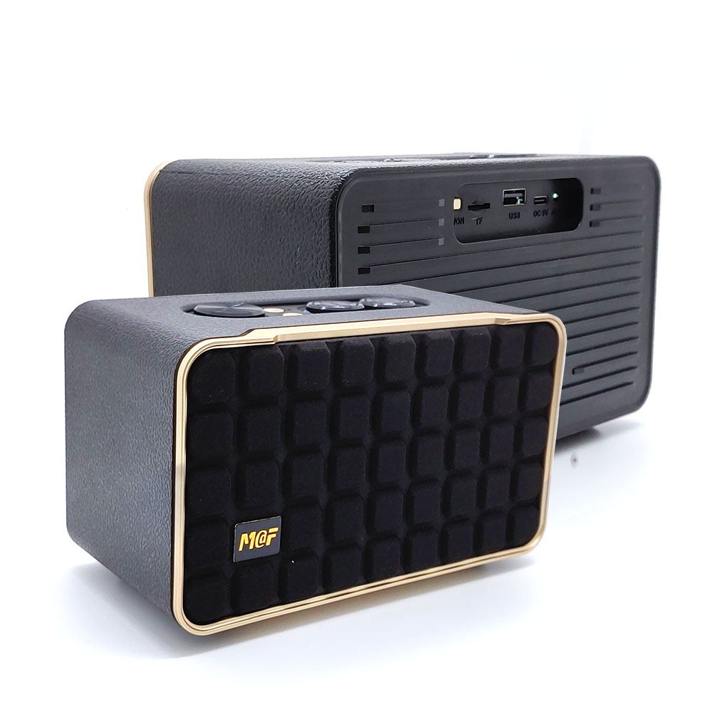 Haut-Parleur Bluetooth AUTHENYICS 200